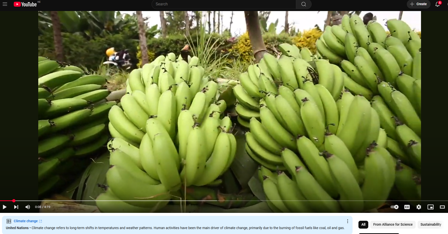 The story of the gene edited banana by Dr. Valentine Ntui, molecular biologist at IITA